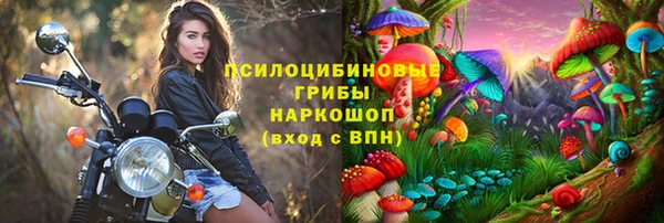 первитин Богородицк
