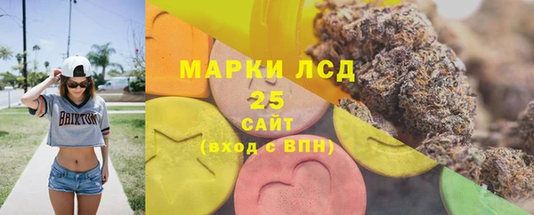 первитин Богородицк