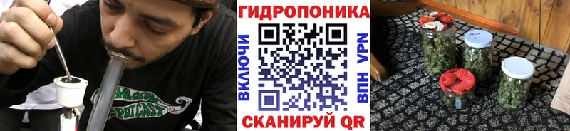 Марихуана OG Kush  Волосово 